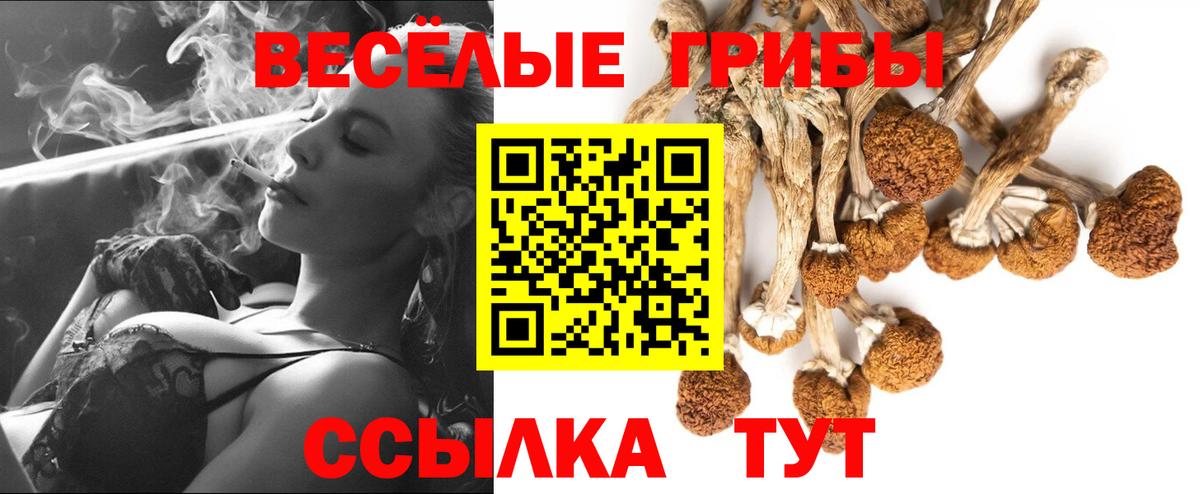 Галлюциногенные грибы прущие грибы Кандалакша